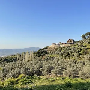 uygunluğu kontrol et